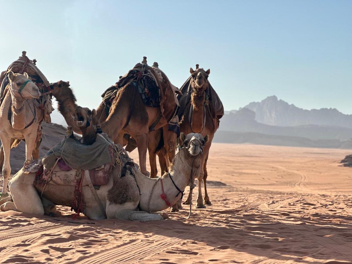 Rum Titanic Camp Wadi Rum Exterior foto